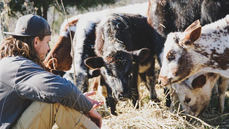 LF20210529-A-Calf-Donation-.jpg